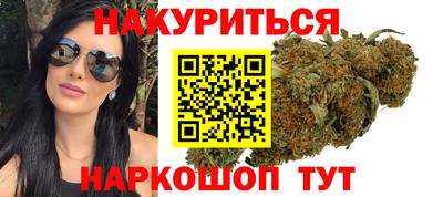 гидра Моздок